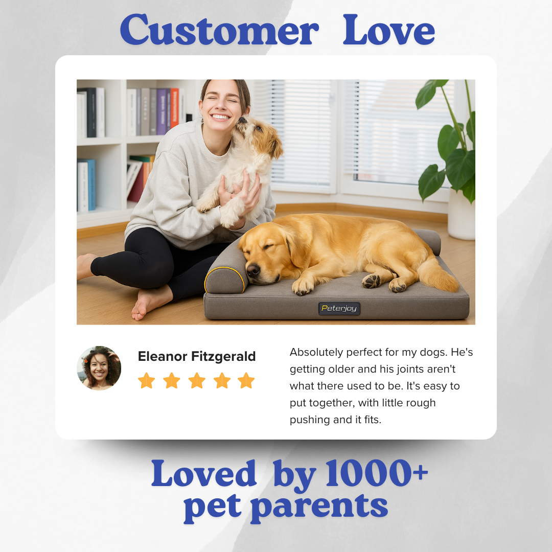 Orthopedic Nest Sofa/Bed