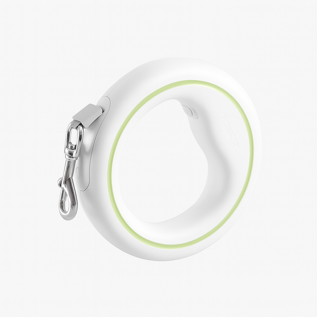 Aesthetic Automatic Retractable Dog Leash