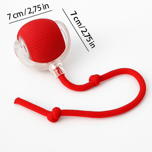 Interactive Self-Rolling Cat Toy