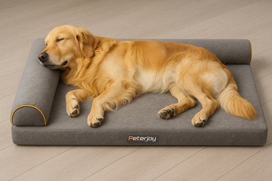 Orthopedic Nest Sofa/Bed