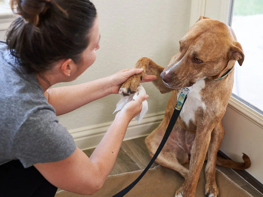 Pet WiPees Dog Allergy Natural Wipes