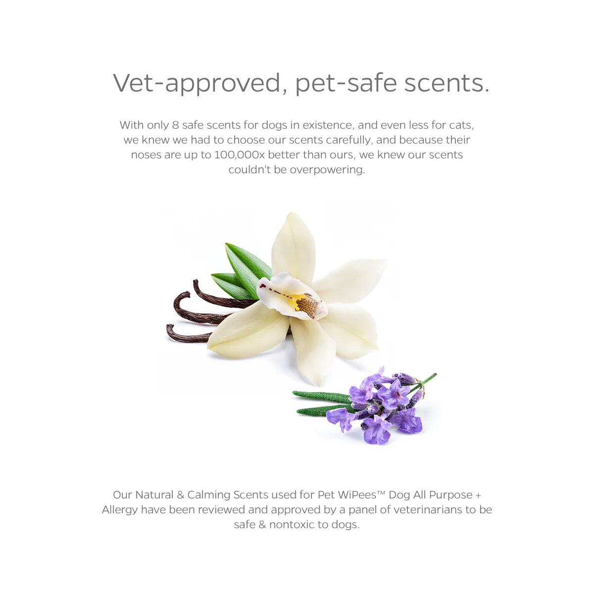 Pet WiPees Dog Allergy Natural Wipes