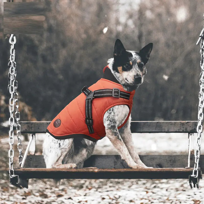 Warm Cotton-Padded Dog Clothes for Autumn and Winter