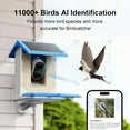 Smart Bird Feeder With Ultra HD Camera