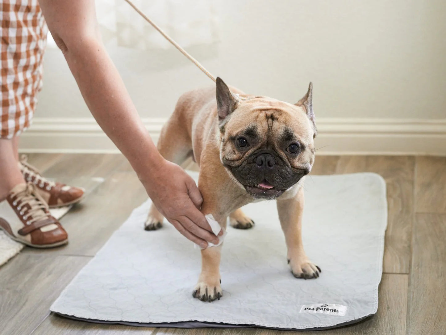 Pet WiPees Dog Allergy Natural Wipes