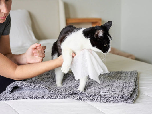 Pet WiPees Cat All Purpose + Skin & Coat