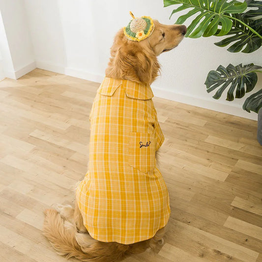 Golden Wool Shirt for Medium-Sized Labrador Dogs
