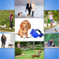 Multi-Function Telescopic Dog Traction Belt