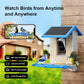 Smart Bird Feeder With Ultra HD Camera