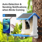 Smart Bird Feeder With Ultra HD Camera