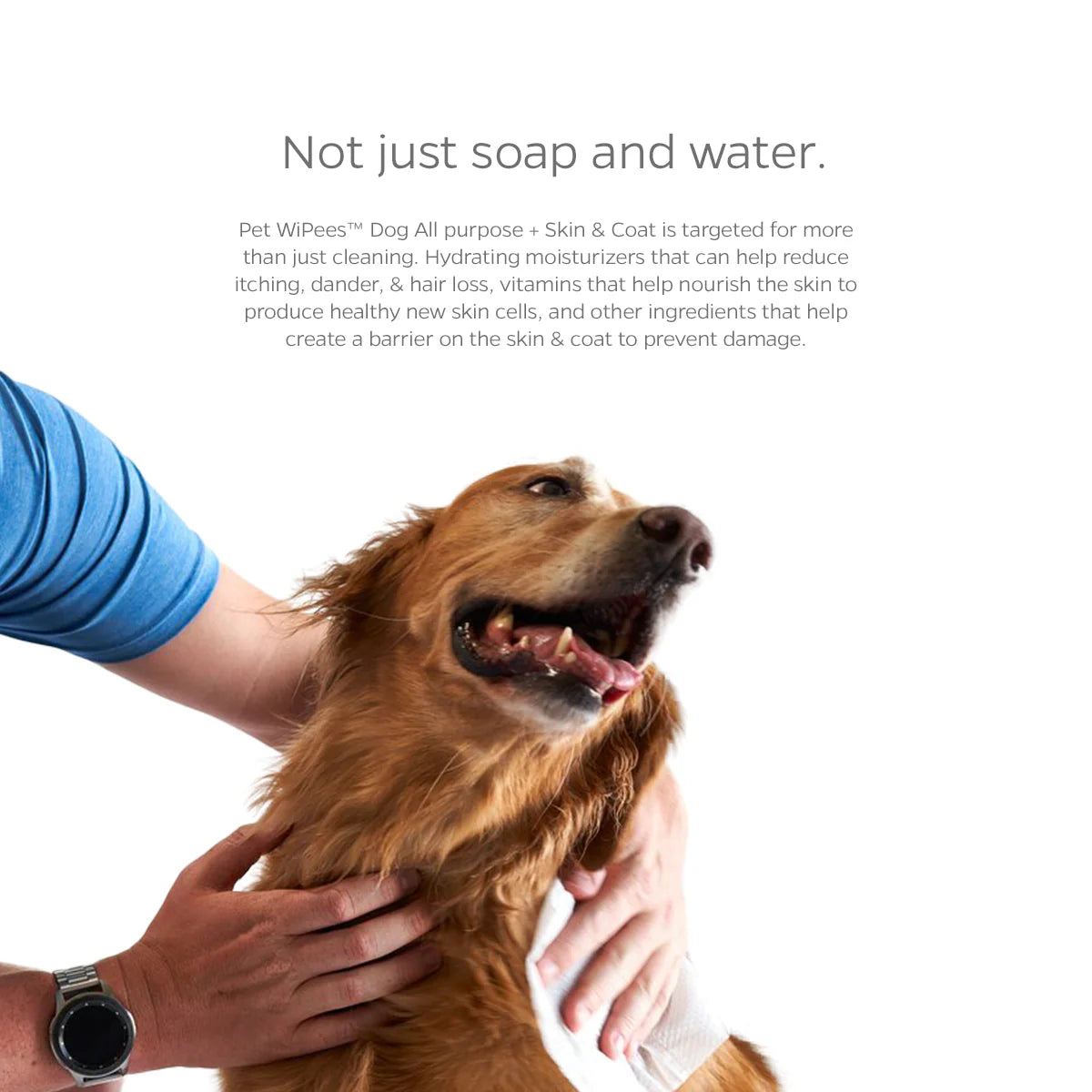 Pet WiPees Dog All Purpose + Skin & Coat
