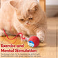Interactive Self-Rolling Cat Toy