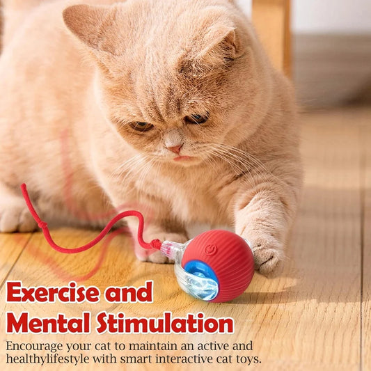Interactive Self-Rolling Cat Toy