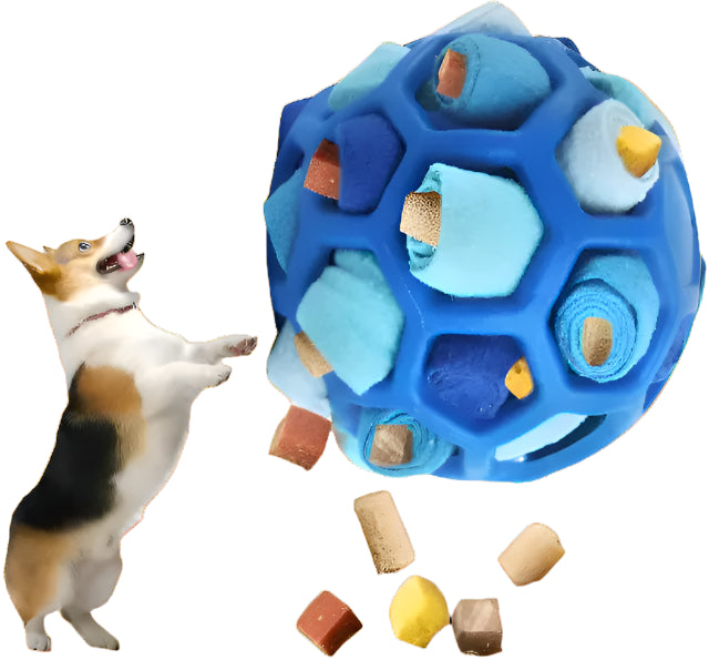 Enhance Pet Foraging Instincts