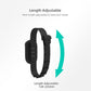 HD 1080P Pet Collar Camera