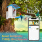 Smart Bird Feeder With Ultra HD Camera