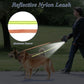 Dual Retractable Dog Leash – 360° Swivel & Reflective