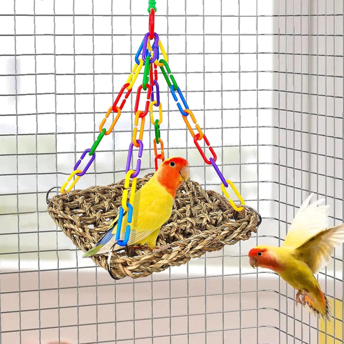 Parrot Perch Handmade Hanging Swing