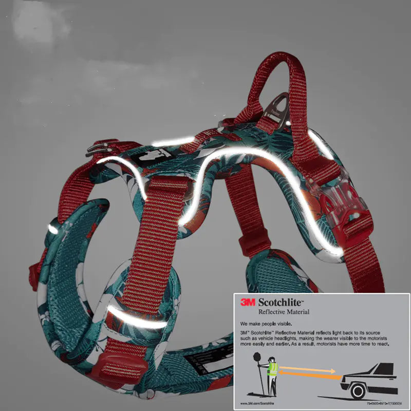 Dog Leash and Harness for Medium to Large Dogs