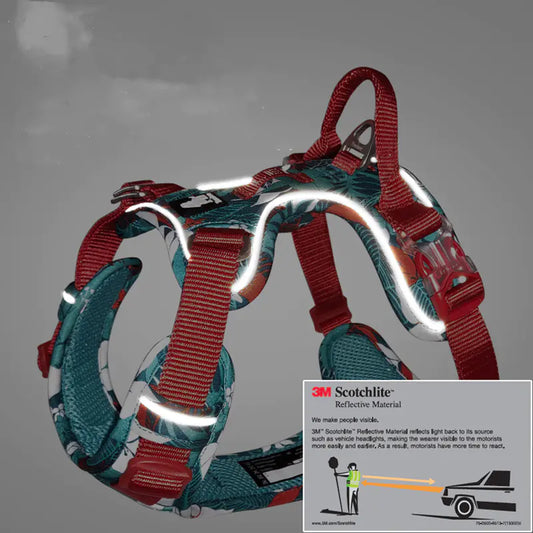 Dog Leash and Harness for Medium to Large Dogs