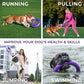 Puller Dog Active Toy Rings