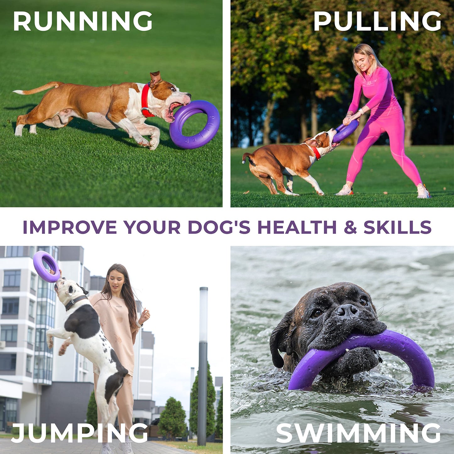 Puller Dog Active Toy Rings