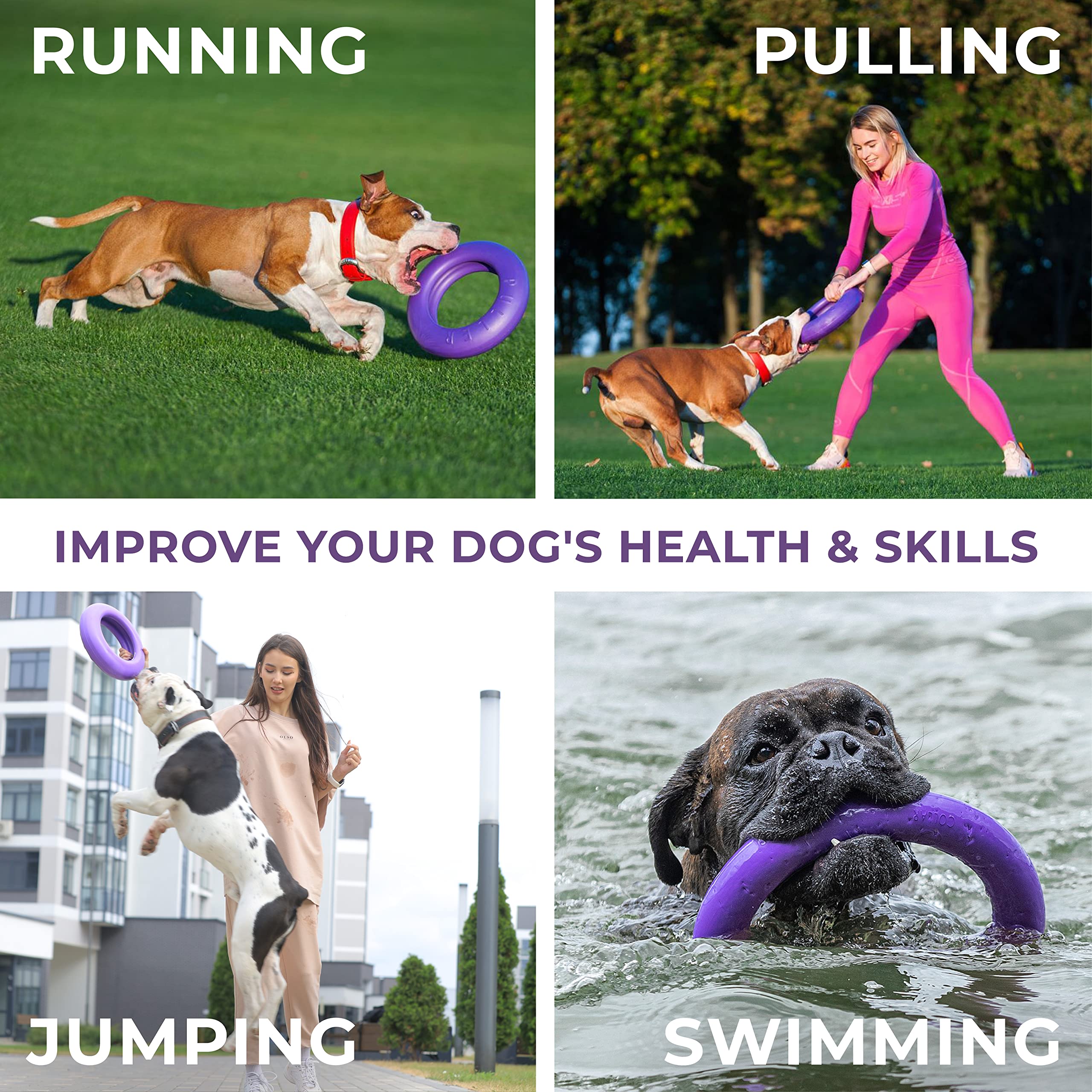 Puller Dog Active Toy Rings