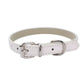 Collar Dog Chain