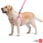 Eco-Friendly Re-Cotton Smart Harness For Dogs