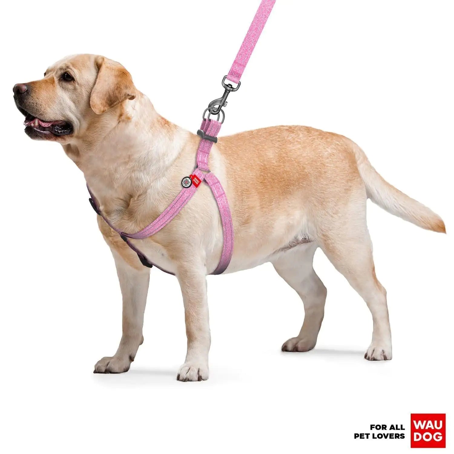 Eco-Friendly Re-Cotton Smart Harness For Dogs