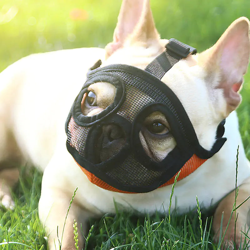 Fadou Puppy Anti-Bite and Bark Mouth Cover Mask