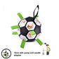 Interactive Pet Toy