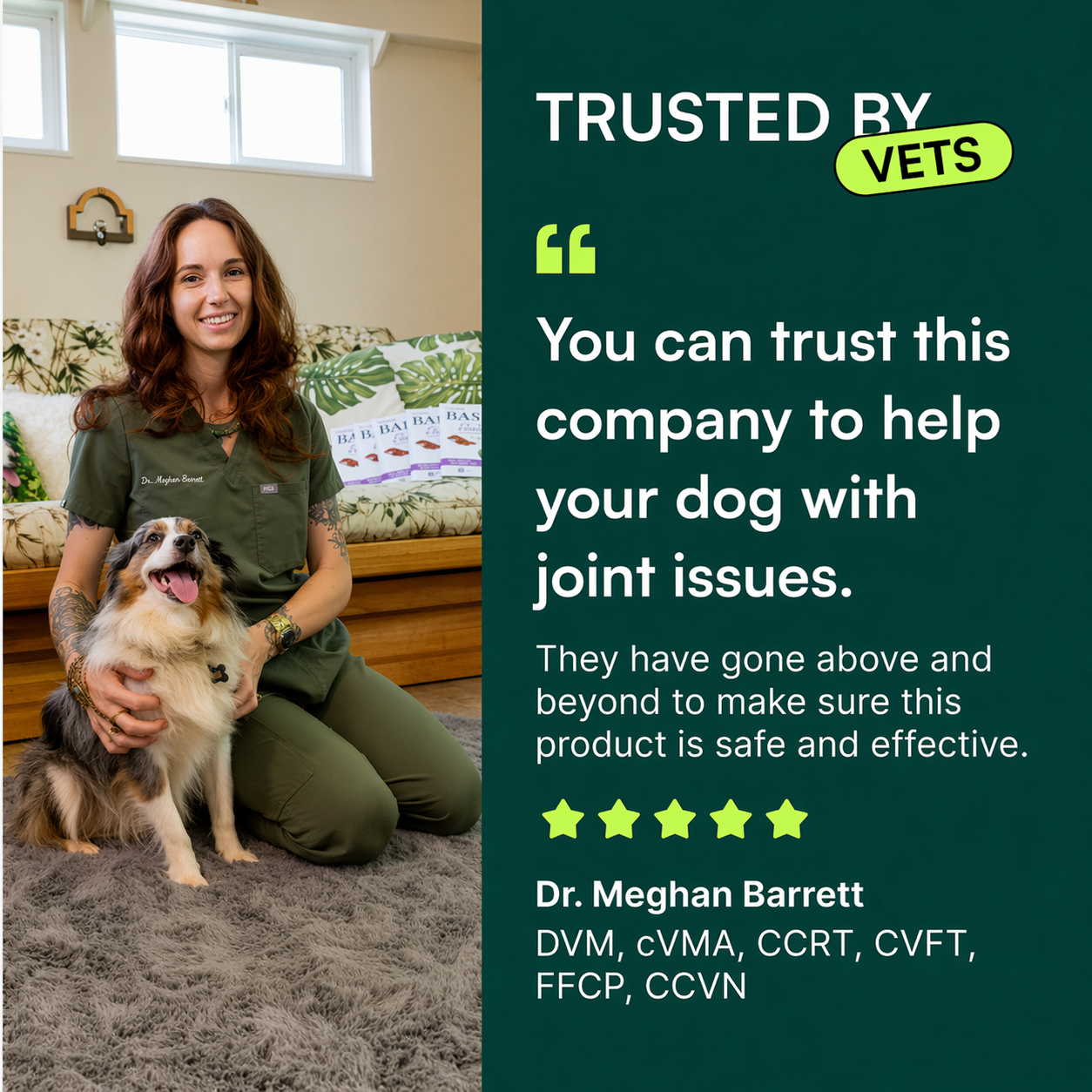 Wuffes Advanced Hip and Joint Support Chews