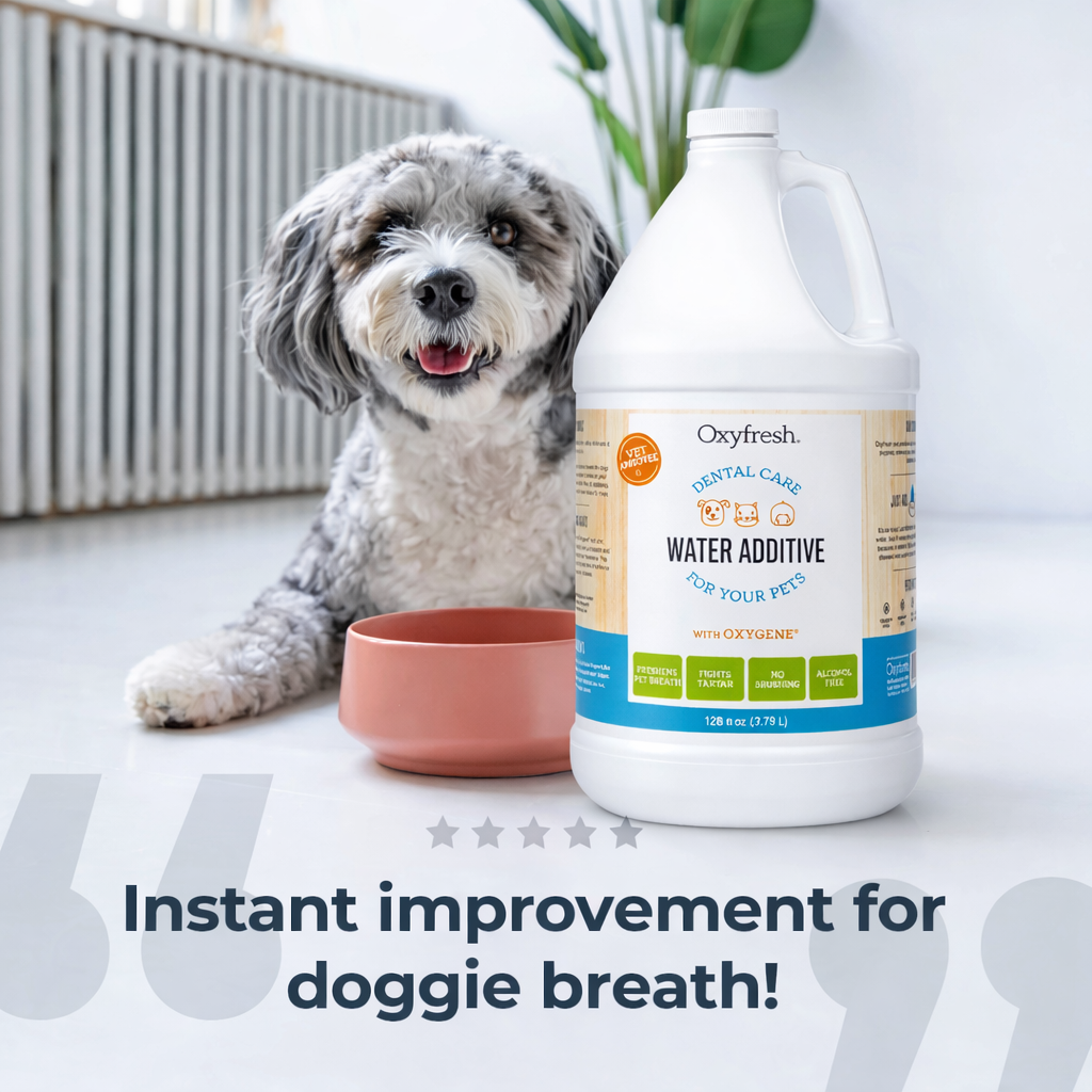 Oxyfresh Premium Pet Dental Care Solution