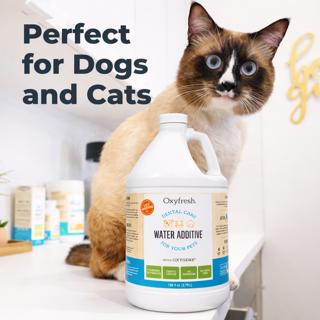 Oxyfresh Premium Pet Dental Care Solution