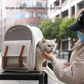 Scratch-Resistant Cat Backpack for Outdoor
