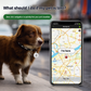 Smart Waterproof Pet GPS Tracker
