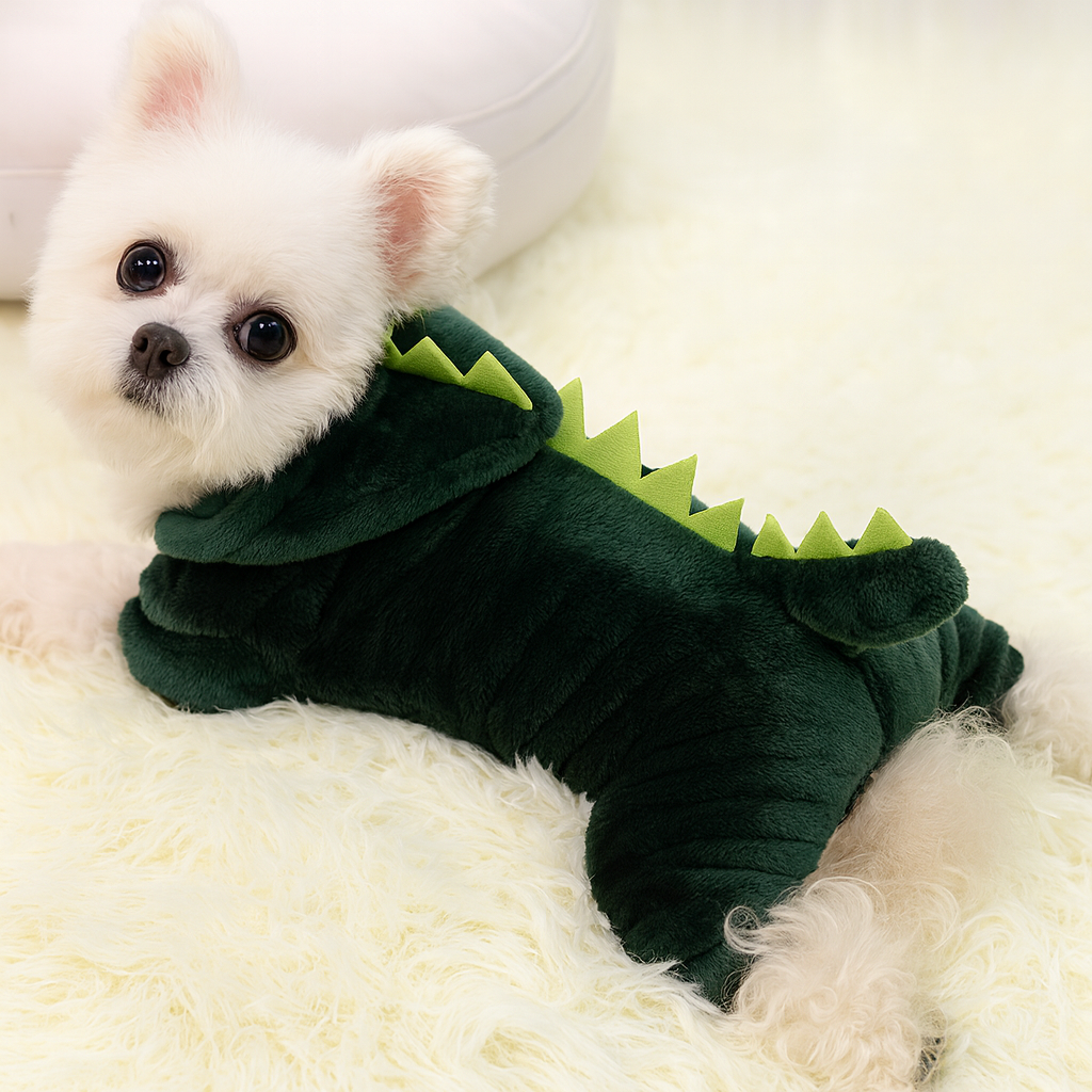 Cozy Dinosaur Winter Apparel