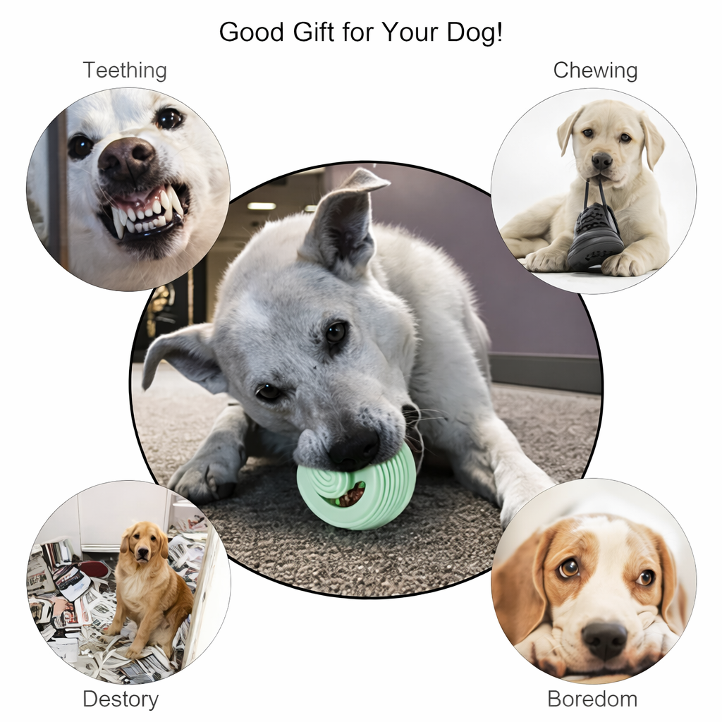 Bite-Resistant Dog Toy Ball for Teeth Cleaning