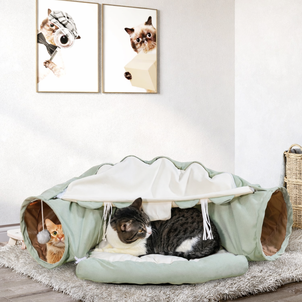 2-in-1 Cat Tunnel & Cozy Nest