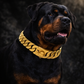Premium Stainless Steel Dog Chain