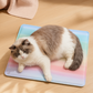 Summer Rainbow Cooling Mat with Ice Crystal Gel