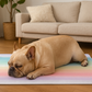 Summer Rainbow Cooling Mat with Ice Crystal Gel