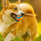 Dog Fetch Toy Ball