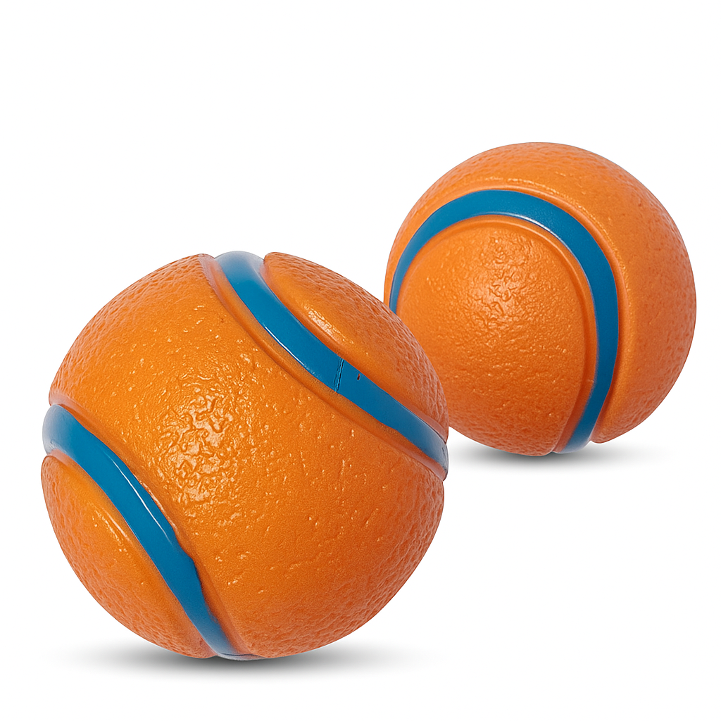 Dog Fetch Toy Ball