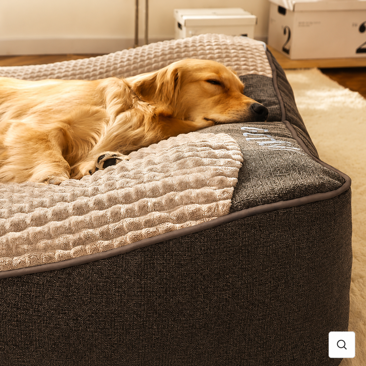 Orthopedic Full Body Support Dog Bed