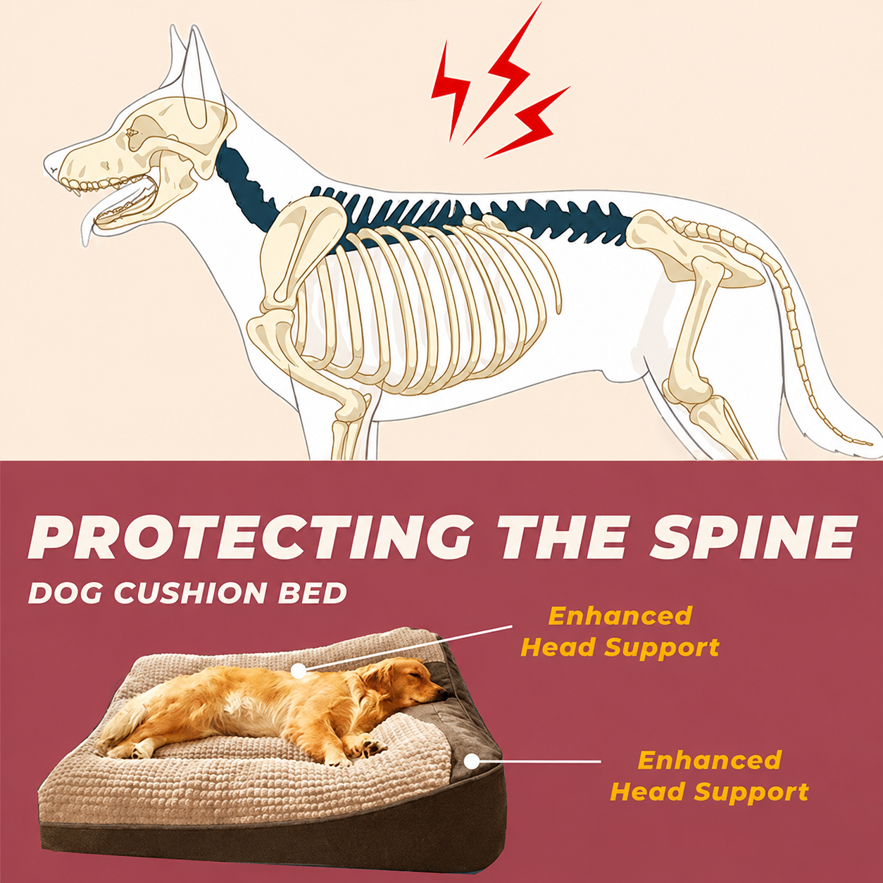 Orthopedic Full Body Support Dog Bed