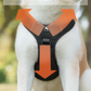 Durable Waterproof Pet Harness with Handle