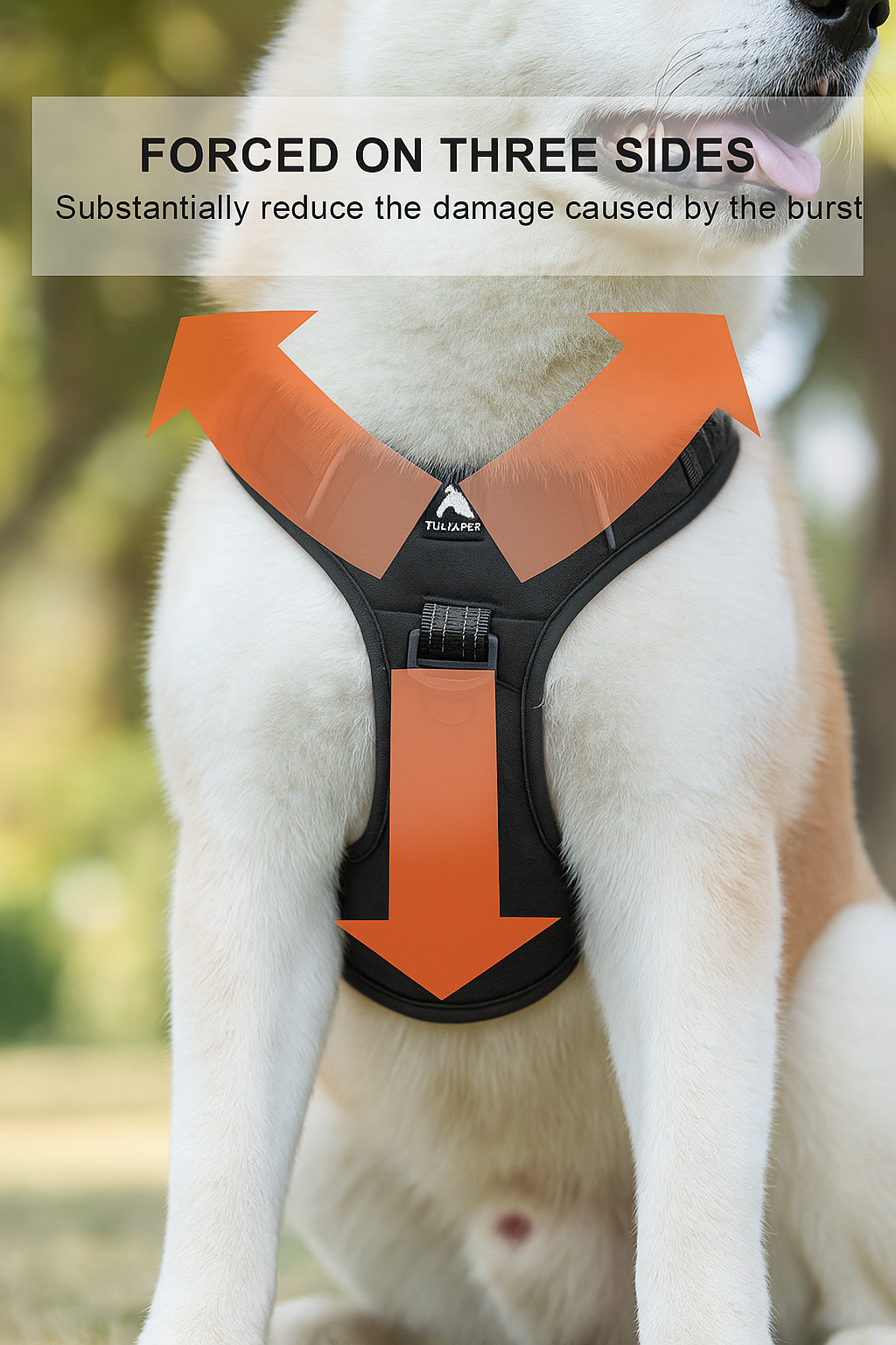 Durable Waterproof Pet Harness with Handle