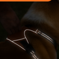 Durable Waterproof Pet Harness with Handle